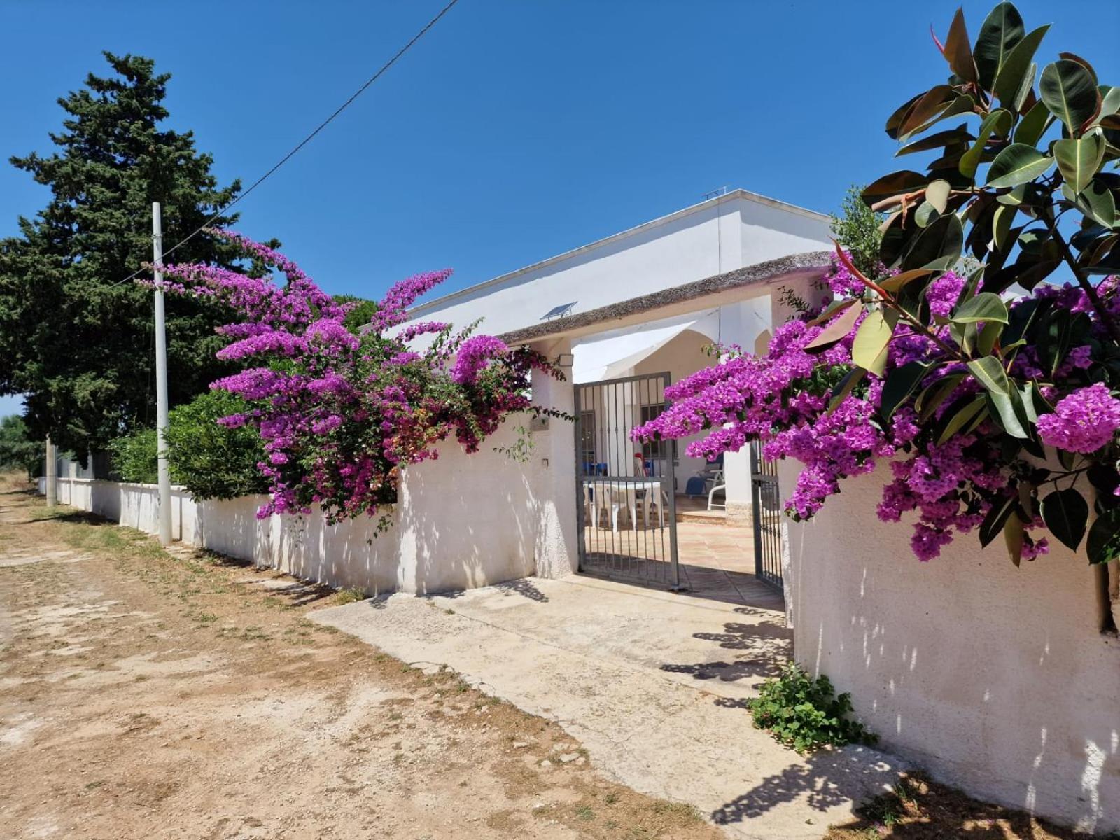 Villa Carmela A San Pietro In Bevagna Ngoại thất bức ảnh